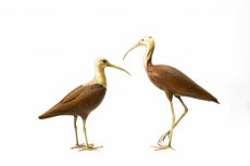 Pair of Brass Bird Sculptures by Malevolti